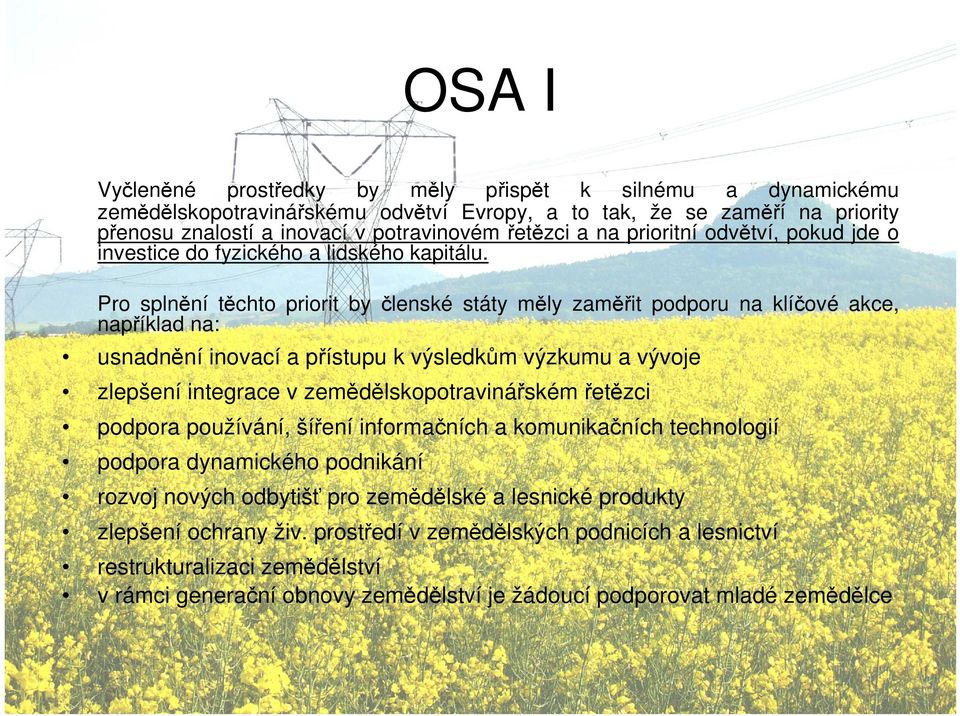 Pro splnění těchto priorit by členské státy měly zaměřit podporu na klíčové akce, například na: usnadnění inovací a přístupu k výsledkům výzkumu a vývoje zlepšení integrace v zemědělskopotravinářském