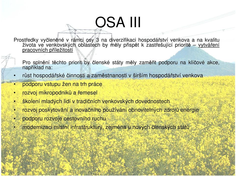 a zaměstnanosti v širším hospodářství venkova podporu vstupu žen na trh práce rozvoj mikropodniků a řemesel školení mladých lidí v tradičních venkovských