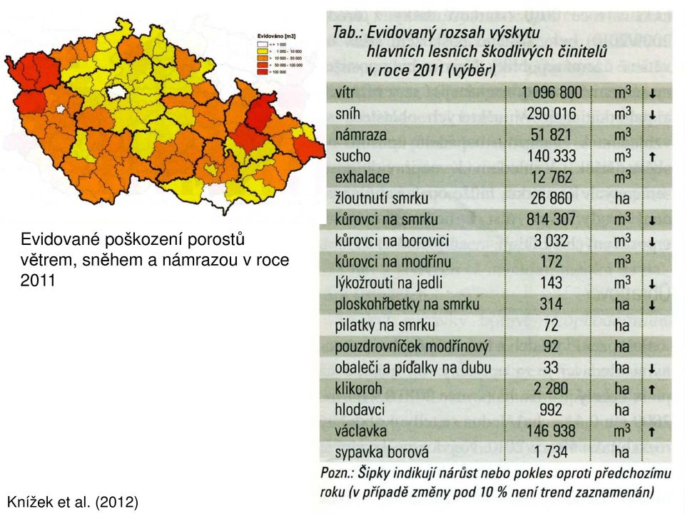 sněhem a námrazou v