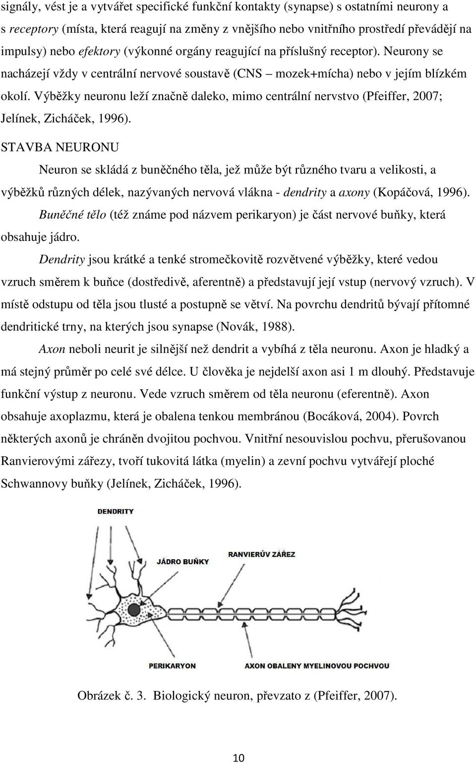 Výběžky neuronu leží značně daleko, mimo centrální nervstvo (Pfeiffer, 2007; Jelínek, Zicháček, 1996).