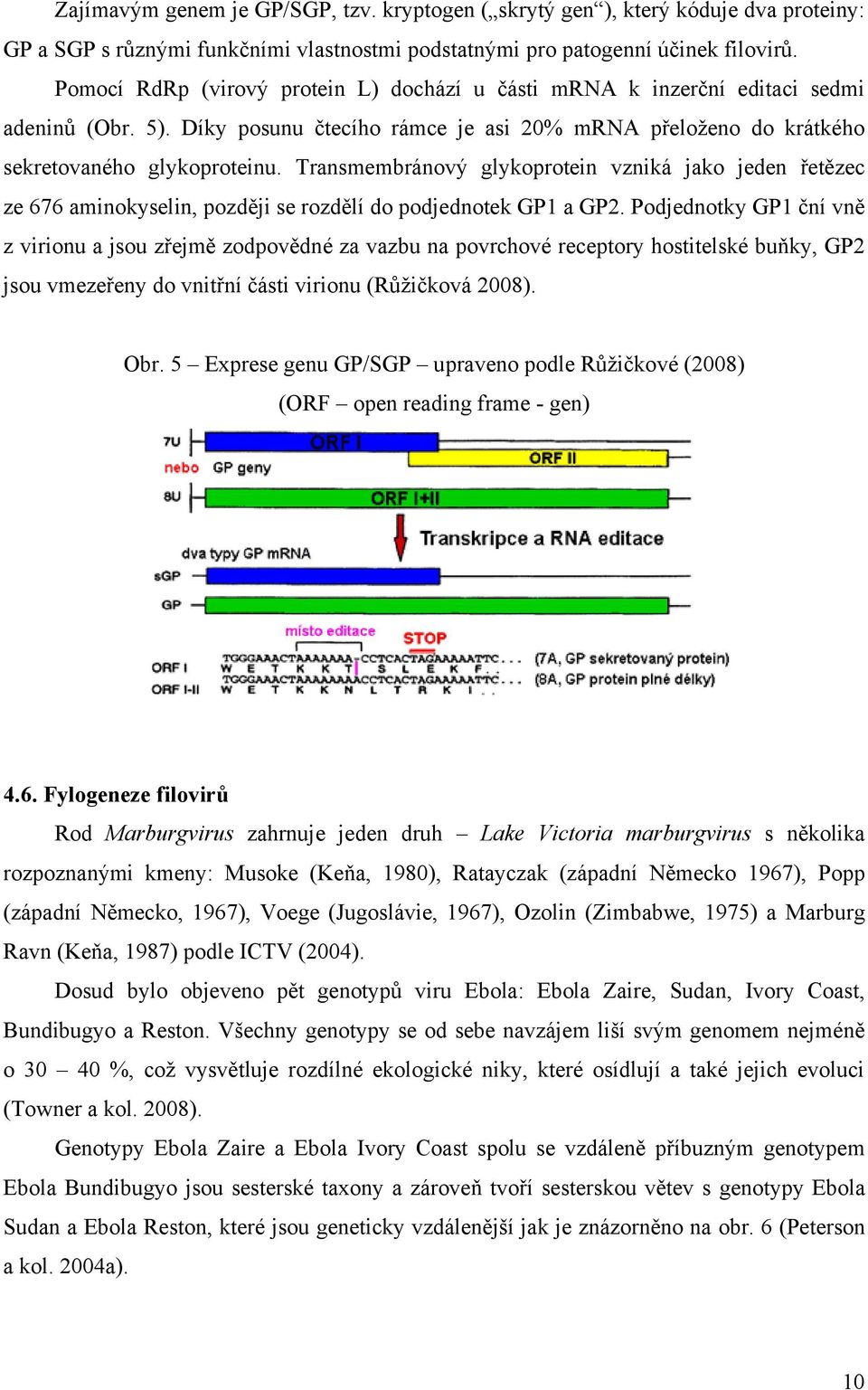 Transmembránový glykoprotein vzniká jako jeden řetězec ze 676 aminokyselin, později se rozdělí do podjednotek GP1 a GP2.