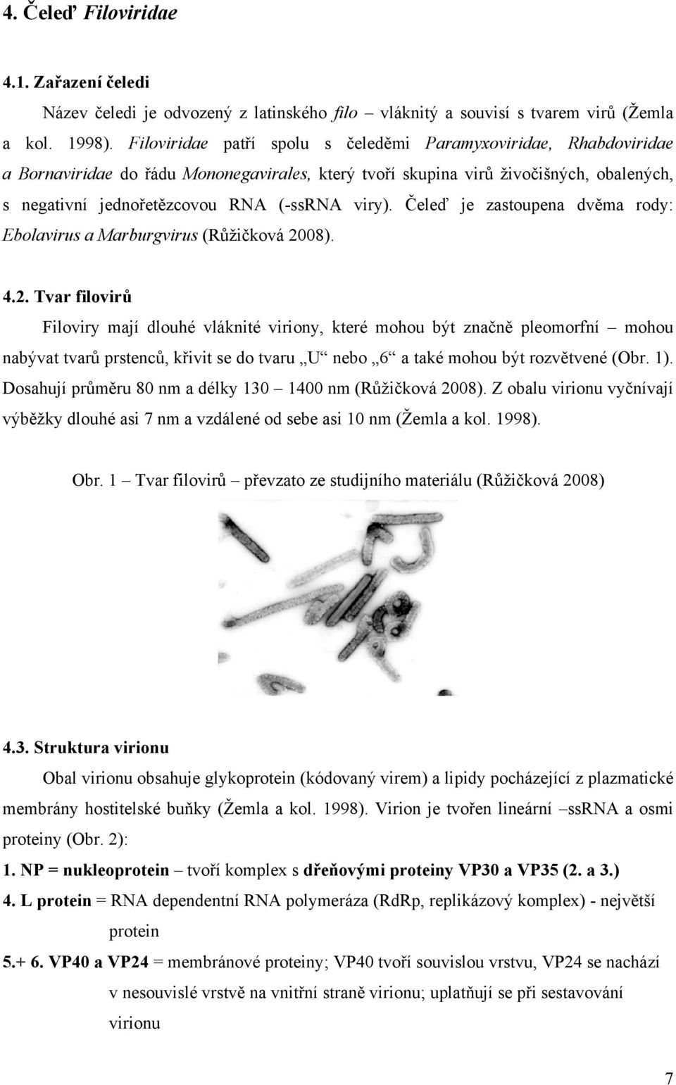 viry). Čeleď je zastoupena dvěma rody: Ebolavirus a Marburgvirus (Růžičková 20