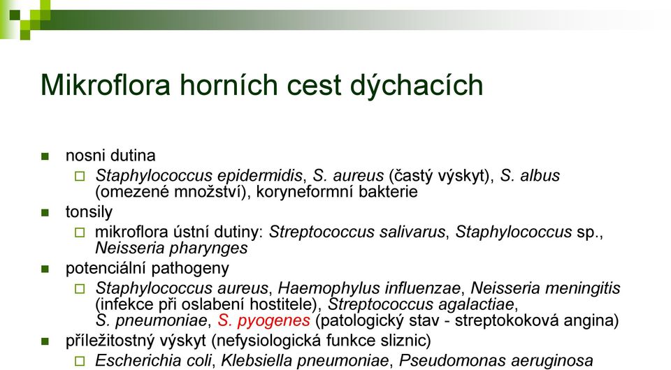 , Neisseria pharynges potenciální pathogeny Staphylococcus aureus, Haemophylus influenzae, Neisseria meningitis (infekce při oslabení hostitele),