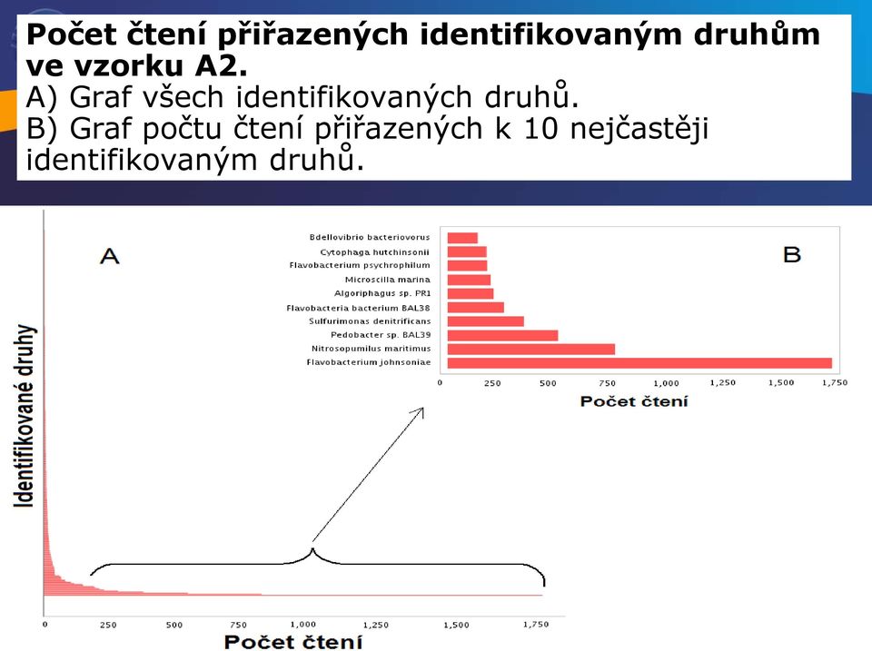 A) Graf všech identifikovaných druhů.