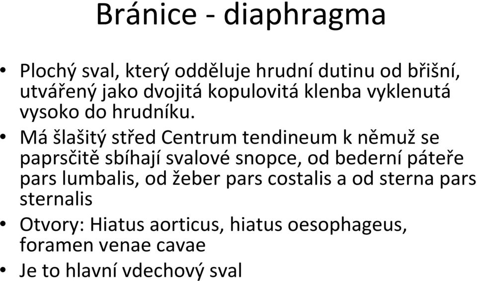 Mášlašitý střed Centrum tendineumk němužse paprsčitěsbíhajísvalovésnopce, od bedernípáteře