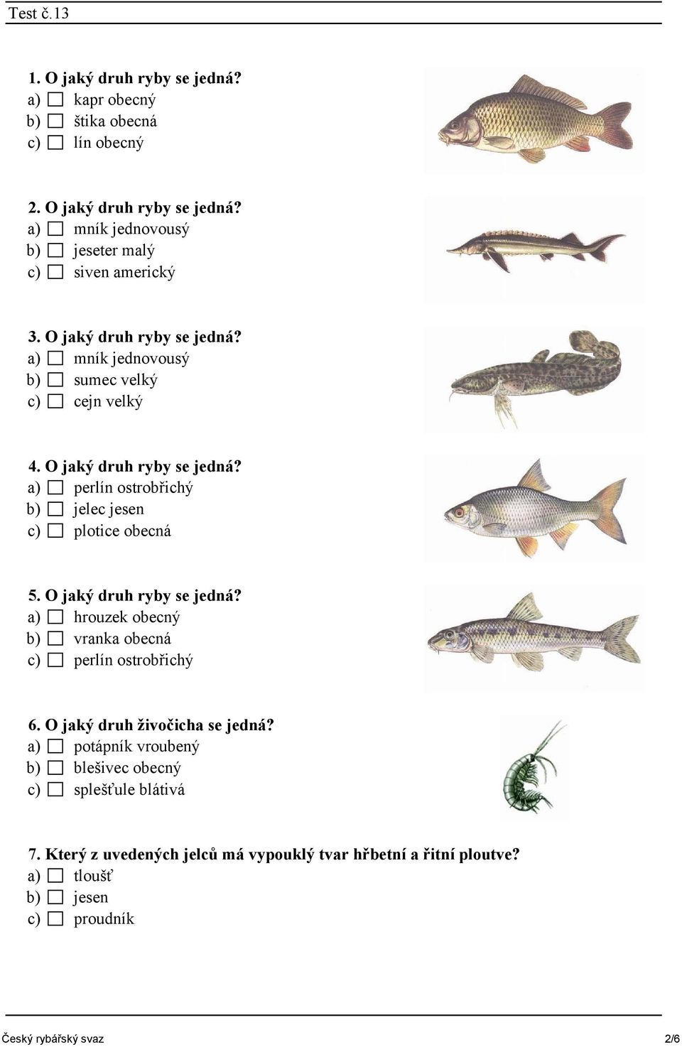 a) perlín ostrobřichý b) jelec jesen c) plotice obecná 5. O jaký druh ryby se jedná? a) hrouzek obecný b) vranka obecná c) perlín ostrobřichý 6.