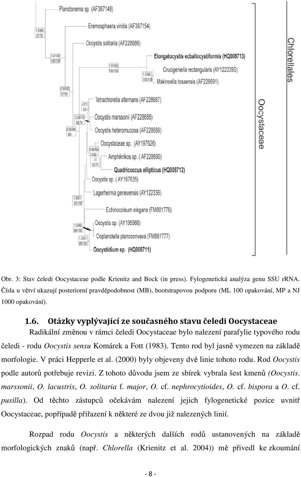 Otázky vyplývající ze současného stavu čeledi Oocystaceae Radikální změnou v rámci čeledi Oocystaceae bylo nalezení parafylie typového rodu čeledi - rodu Oocystis sensu Komárek a Fott (1983).