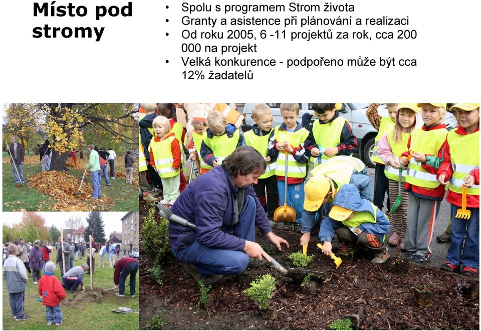 roku 2005, 6-11 projektů za rok, cca 200 000 na