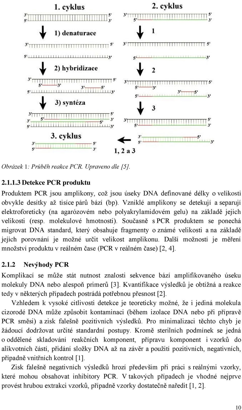 Současně s PCR produktem se ponechá migrovat DNA standard, který obsahuje fragmenty o známé velikosti a na základě jejich porovnání je možné určit velikost amplikonu.