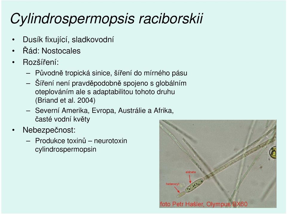 globálním oteplováním ale s adaptabilitou tohoto druhu (Briand et al.