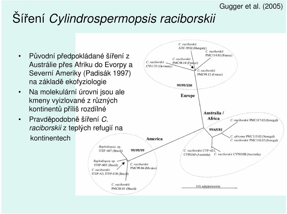 Ameriky (Padisák 1997) na základě ekofyziologie Na molekulární úrovni jsou ale