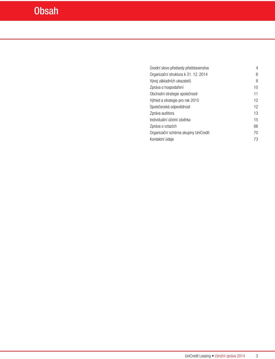 a strategie pro rok 2015 12 Společenská odpovědnost 12 Zpráva auditora 13 Individuální účetní