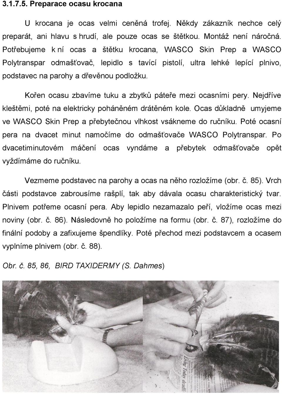 Kořen ocasu zbavíme tuku a zbytků páteře mezi ocasními pery. Nejdříve kleštěmi, poté na elektricky poháněném drátěném kole.