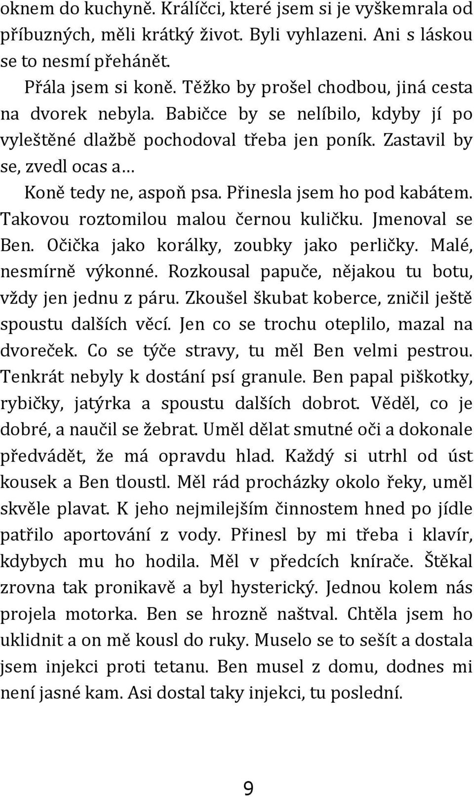 Přinesla jsem ho pod kabátem. Takovou roztomilou malou černou kuličku. Jmenoval se Ben. Očička jako korálky, zoubky jako perličky. Malé, nesmírně výkonné.