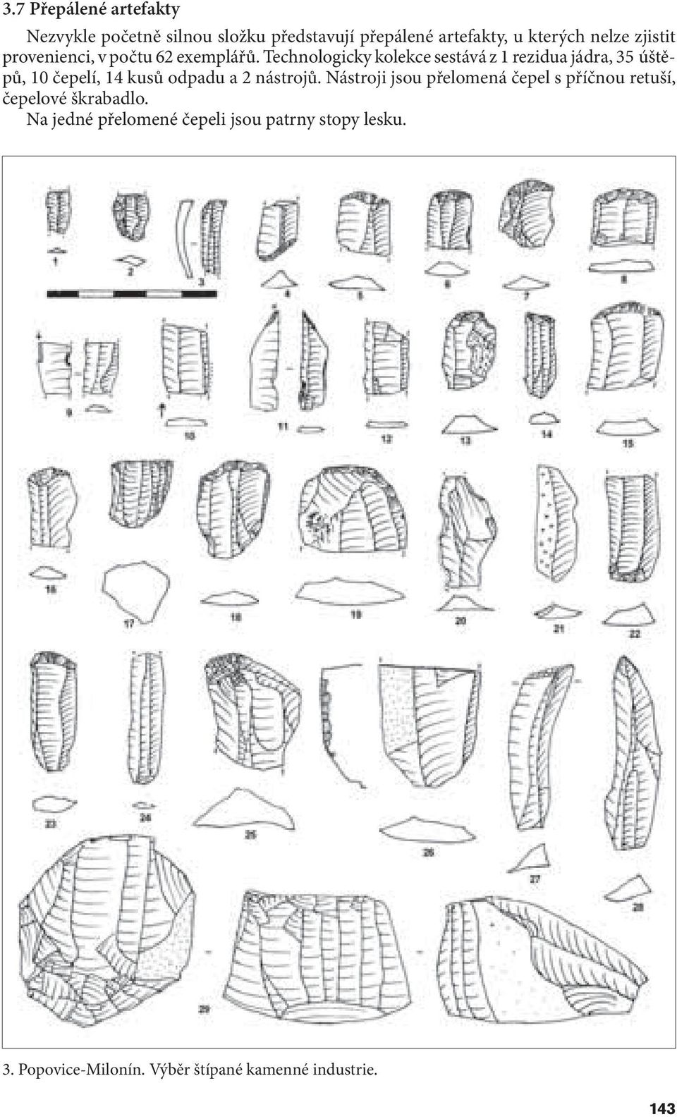 Technologicky kolekce sestává z 1 rezidua jádra, 35 úštěpů, 10 čepelí, 14 kusů odpadu a 2 nástrojů.