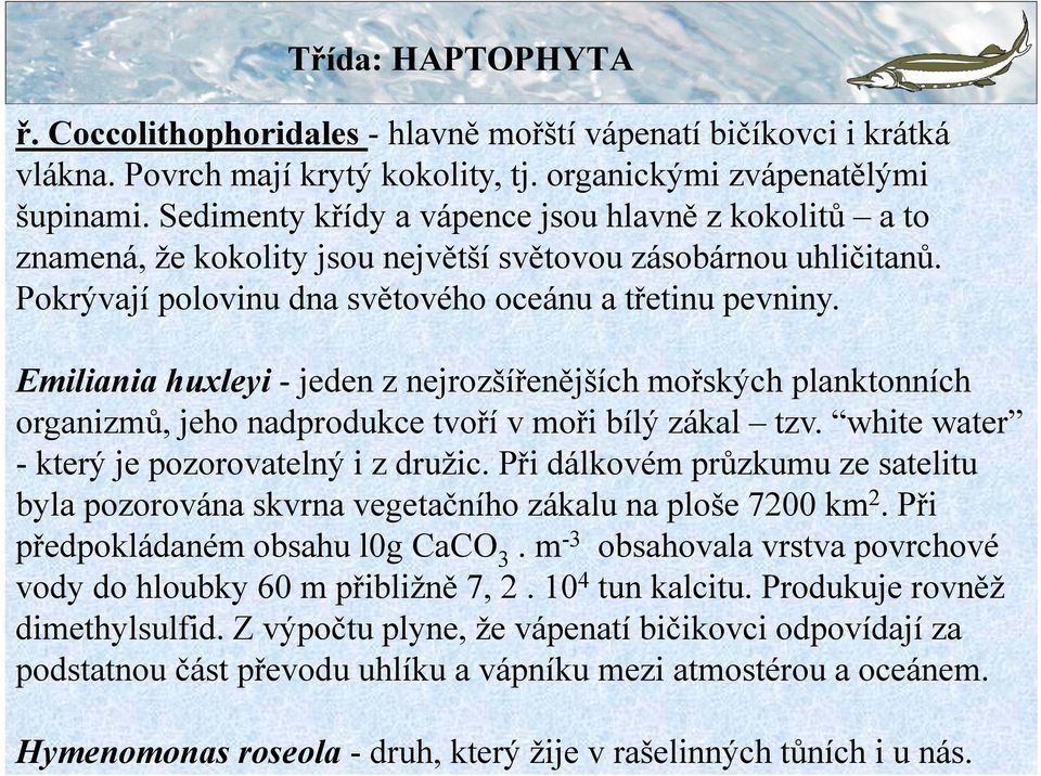 Pokrývají polovinu dna světového oceánu a třetinu pevniny. Emiliania huxleyi - jeden z nejrozšířenějších mořských planktonních organizmů, jeho nadprodukce tvoří v moři bílý zákal tzv.