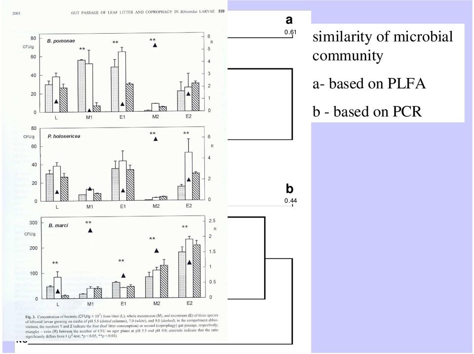 microbial community a- based