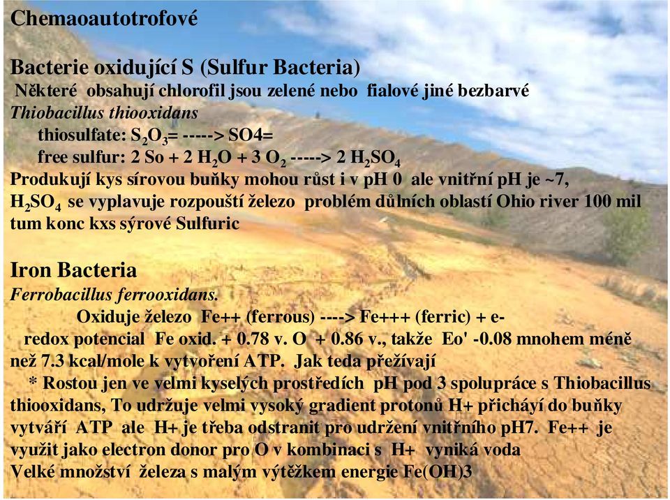 sýrové Sulfuric Iron Bacteria Ferrobacillus ferrooxidans. Oxiduje železo Fe++ (ferrous) ----> Fe+++ (ferric) + e- redox potencial Fe oxid. +.78 v. O +.86 v., takže Eo' -.8 mnohem méně než 7.