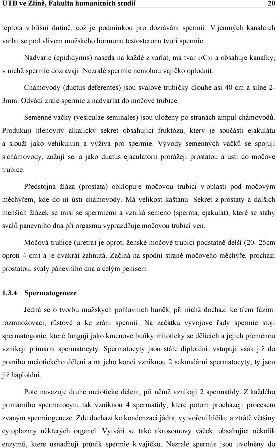 Chámovody (ductus deferentes) jsou svalové trubičky dlouhé asi 40 cm a silné 2-3mm. Odvádí zralé spermie z nadvarlat do močové trubice.