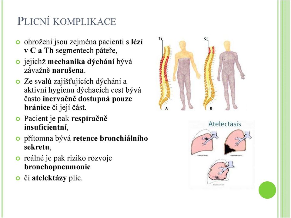 Ze svalů zajišťujících dýchání a aktivní hygienu dýchacích cest bývá často inervačně dostupná pouze