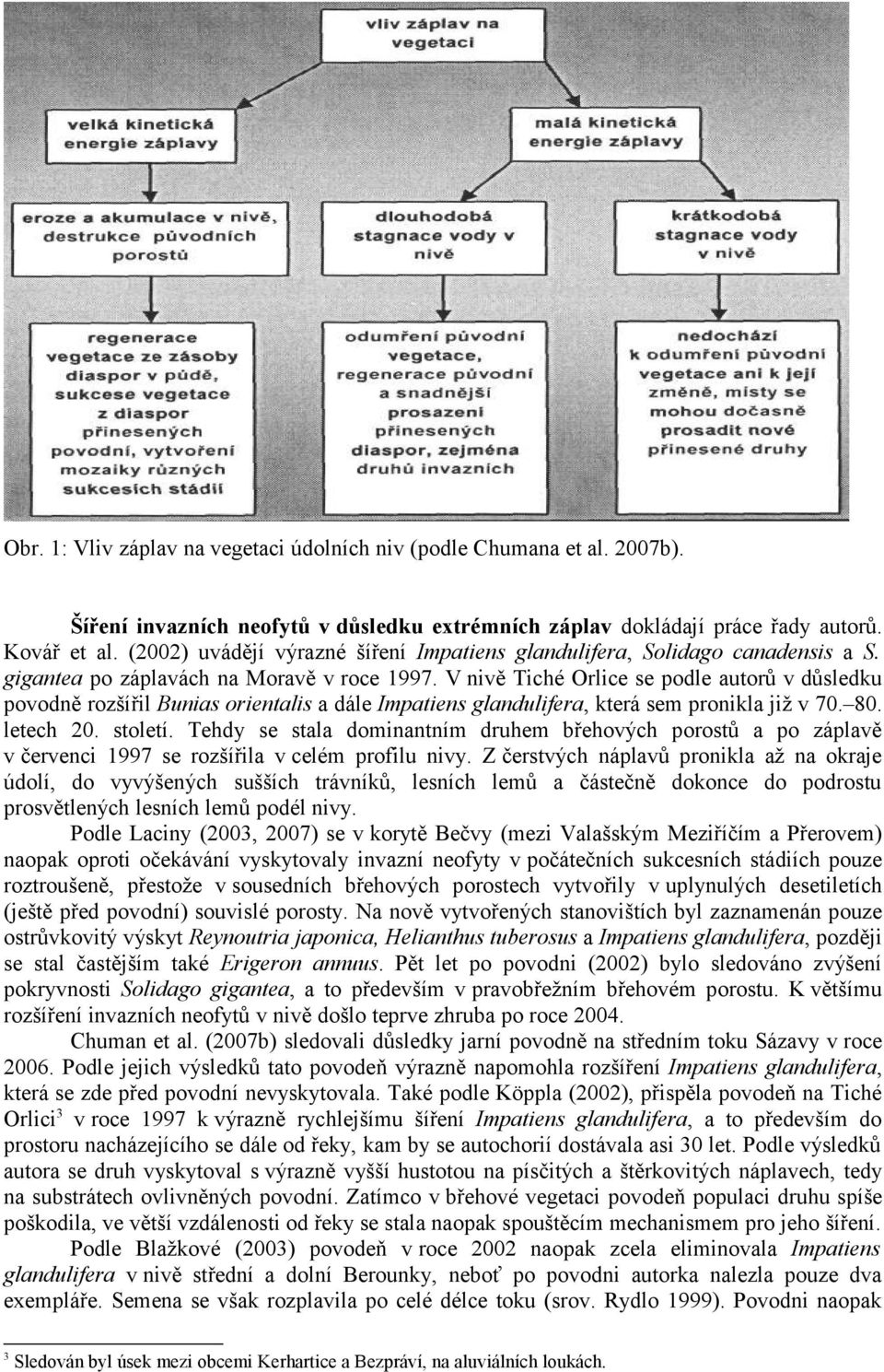 V nivě Tiché Orlice se podle autorů v důsledku povodně rozšířil Bunias orientalis a dále Impatiens glandulifera, která sem pronikla již v 70. 80. letech 20. století.