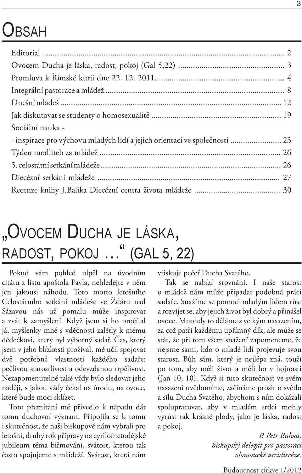 celostátní setkání mládeže... 26 Diecézní setkání mládeže... 27 Recenze knihy J.Balíka Diecézní centra života mládeže.