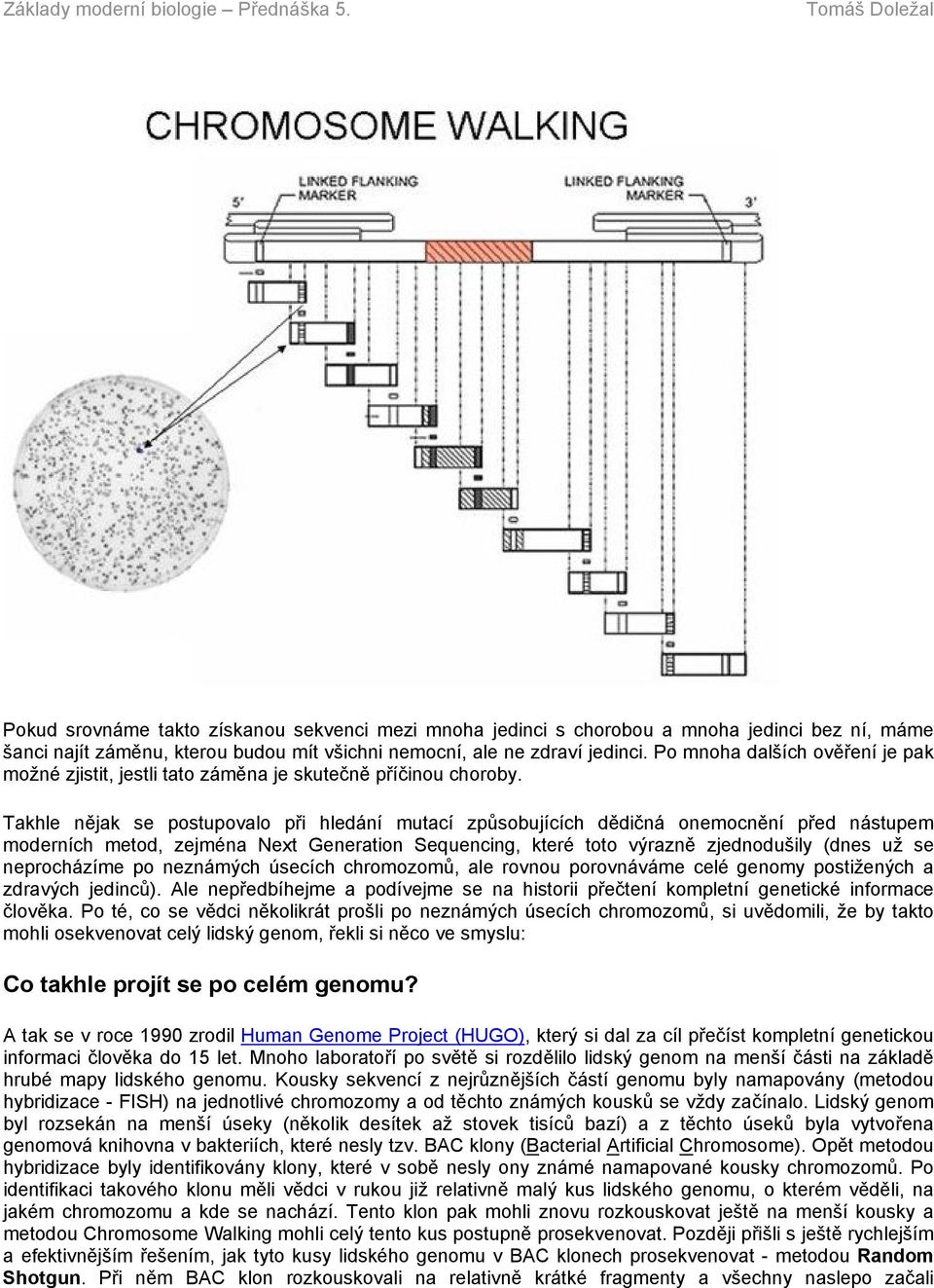 Takhle nějak se postupovalo při hledání mutací způsobujících dědičná onemocnění před nástupem moderních metod, zejména Next Generation Sequencing, které toto výrazně zjednodušily (dnes už se
