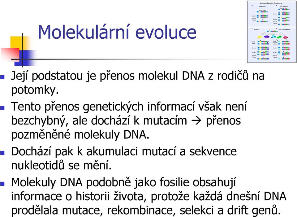 molekuly DNA. Dochází pak k akumulaci mutací a sekvence nukleotidů se mění.