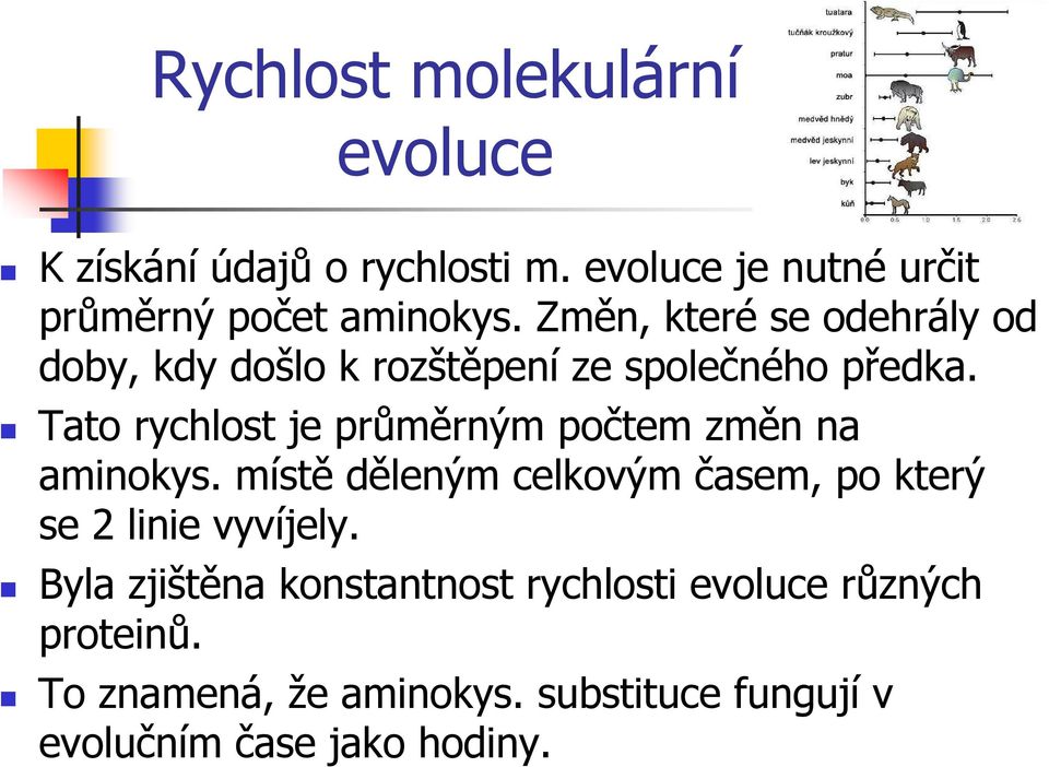 Tato rychlost je průměrným počtem změn na aminokys.