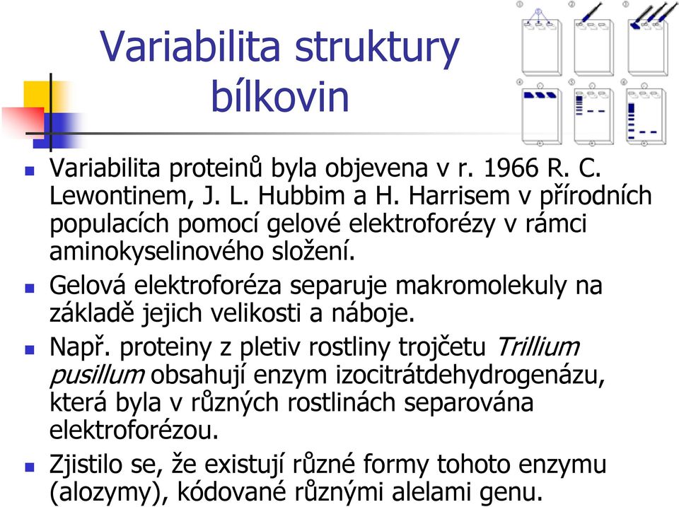 Gelová elektroforéza separuje makromolekuly na základě jejich velikosti a náboje. Např.