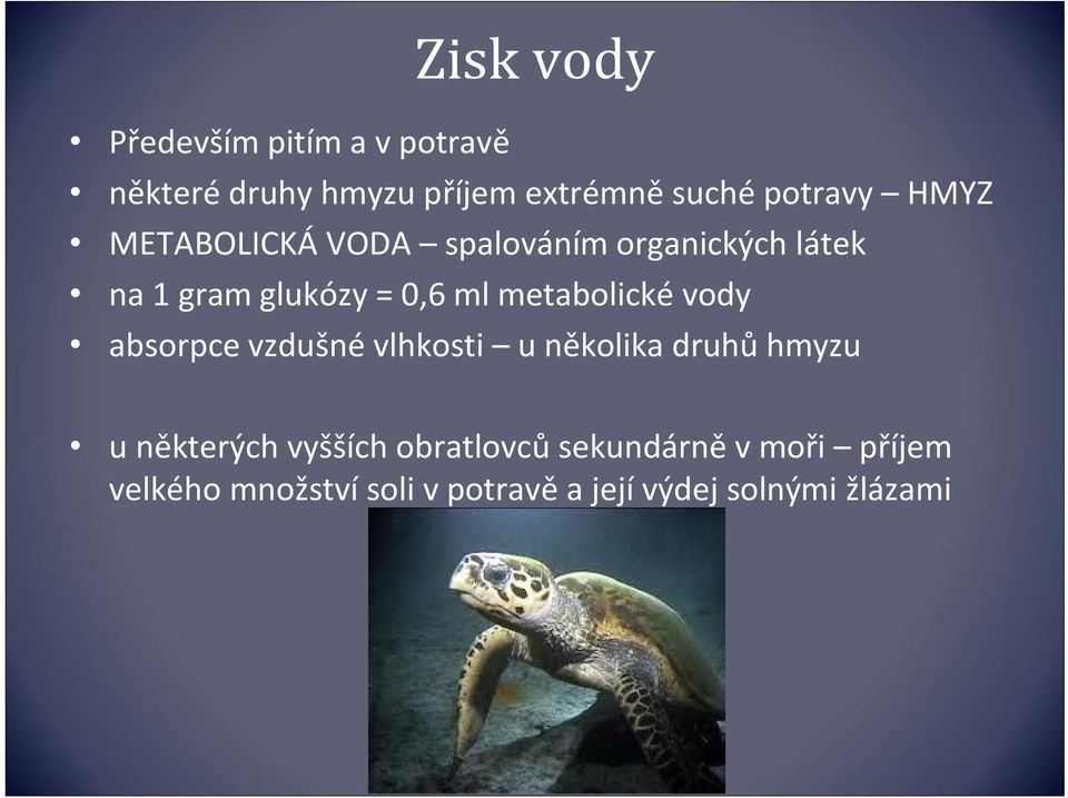 metabolické vody absorpce vzdušné vlhkosti u několika druhů hmyzu u některých vyšších