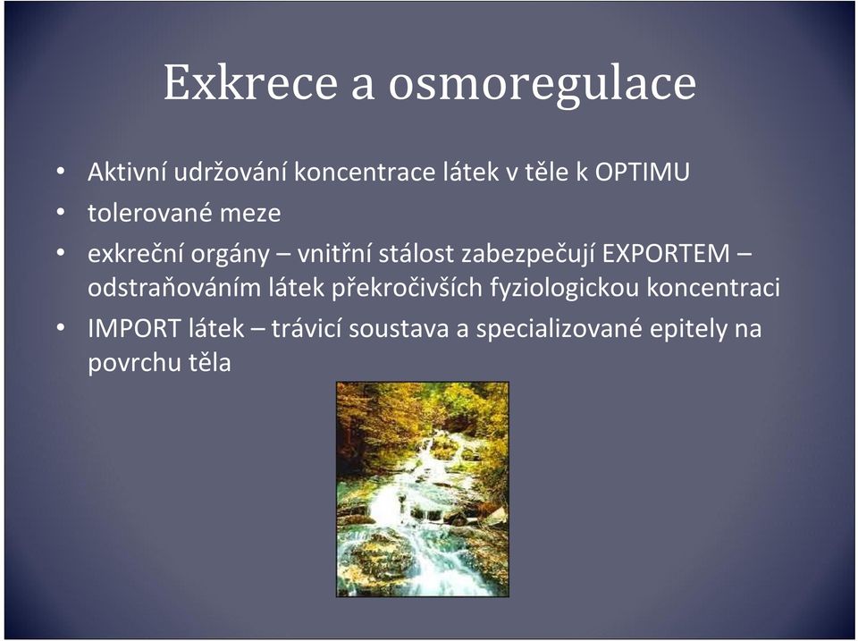 EXPORTEM odstraňováním látek překročivších fyziologickou koncentraci