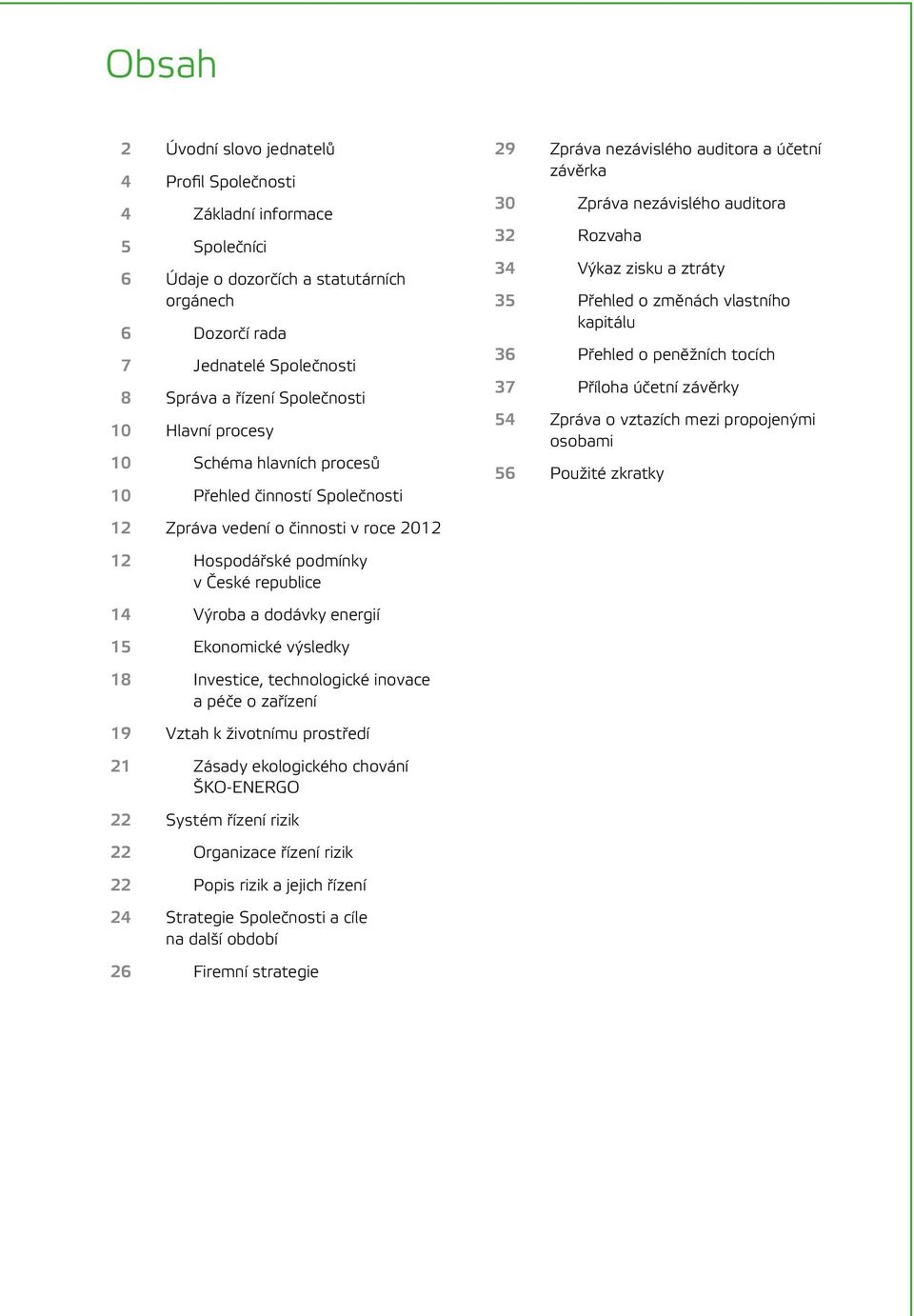 Ekonomické výsledky 18 Investice, technologické inovace a péče o zařízení 19 Vztah k životnímu prostředí 21 Zásady ekologického chování ŠKO ENERGO 22 Systém řízení rizik 22 Organizace řízení rizik 22