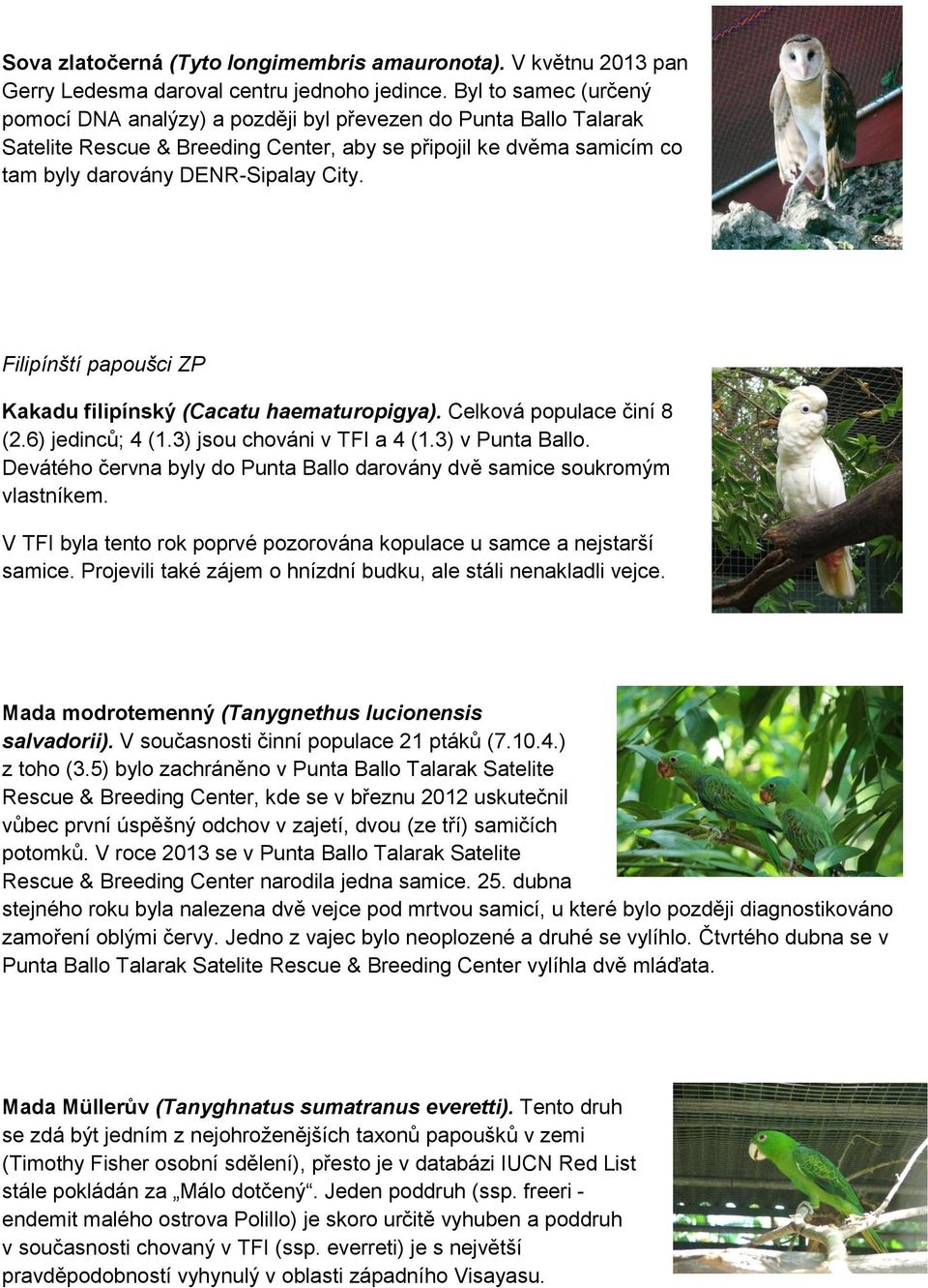 Filipínští papoušci ZP Kakadu filipínský (Cacatu haematuropigya). Celková populace činí 8 (2.6) jedinců; 4 (1.3) jsou chováni v TFI a 4 (1.3) v Punta Ballo.