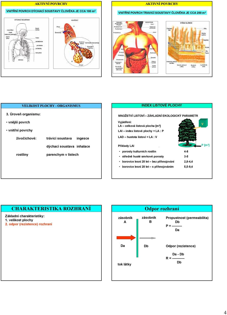index listové plochy = LA : P LAD hustota listoví = LA : V V rostliny dýchací soustava inhalace parenchym v listech Příklady LAI porosty kulturních rostlin 4-8 středně husté smrkové porosty 3-5