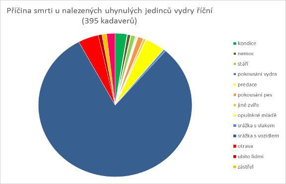 Monitoring sběr a analýzy uhynulých jedinců Systematický sběr cca od roku 2008 (díky VaV projektu : Zjištění chybějících údajů o biologii a ekologii vydry říční: vytvoření modelu vývoje populace ) Co