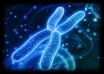 Cvičení 9,10,11: MOLEKULÁRNÍ BIOLOGIE Jméno: Skupina: Cíl: Seznámení se ze základními metodami, využívanými k analýze DNA 1. izolace DNA 2. amplifikace DNA pomocí PCR 3.