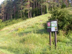 Vpravo značení rezervace v neudržované vegetaci v místech přechodu nivy a strání (pro běžného turistu je informační tabule jen obtížně přístupná). Obr. 34-35.