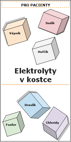 PŘÍLOHA P IX: PŘEDNÍ STRANA