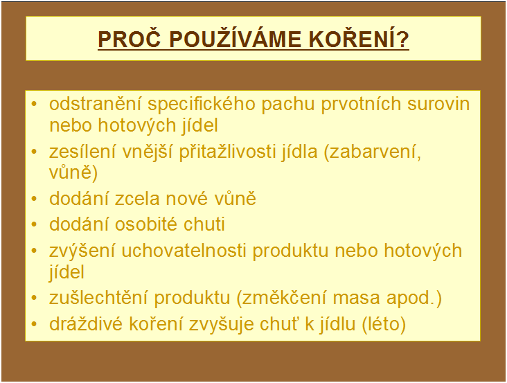 Příloha 10 Prezentace