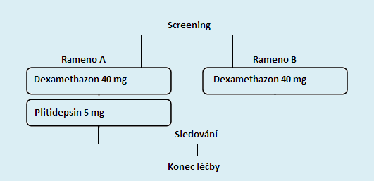 Mnohočetný myelom Schéma protokolu