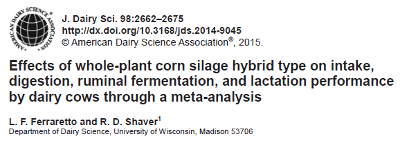 Meta-analýza vlivu kukuřičné siláže z celých rostlin na příjem, trávení, bachorovou fermentaci a
