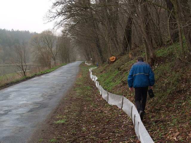 obecné (silně ohrožený druh) a 1 kuňku obecnou (zvláště chráněný druh v