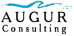 cz tel.: +420 541 652 164 AUGUR Consulting s.r.o. Mgr.