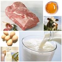 Vegetariánska výživa obmedzenie alebo vylúčenie potravín živočíšneho pôvodu zo stravy: mäso, mlieko, vajcia, želatína, vnútornosti, masť, med,.