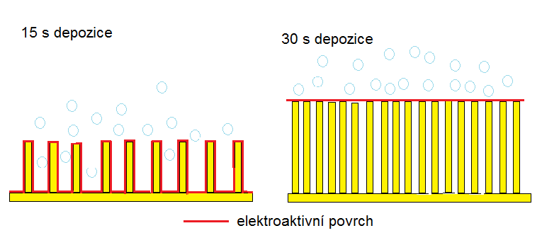 Re (MΩ) 2,5 2 1,5 zlatá plocha bez nanotyčinek 30 s depozice 15 s depozice 1 0,5 0 0,001 0,01 0,1 1 10 100 1000-0,5 Koncentrace (µm) Obrázek 23: Závislost koncentrace na reálné složce impedance v
