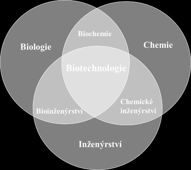 Bioinženýrství Bioinženýrství je jedna z částí biotechnologie - interdisciplinární obor (biochemie, biologie, mikrobiologie, fyzikální chemie, chemické inženýrství, biofyzika, konstrukce a stavba