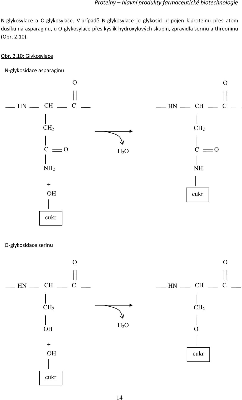 asparaginu, u -glykosylace přes kyslík hydroxylových skupin, zpravidla serinu a