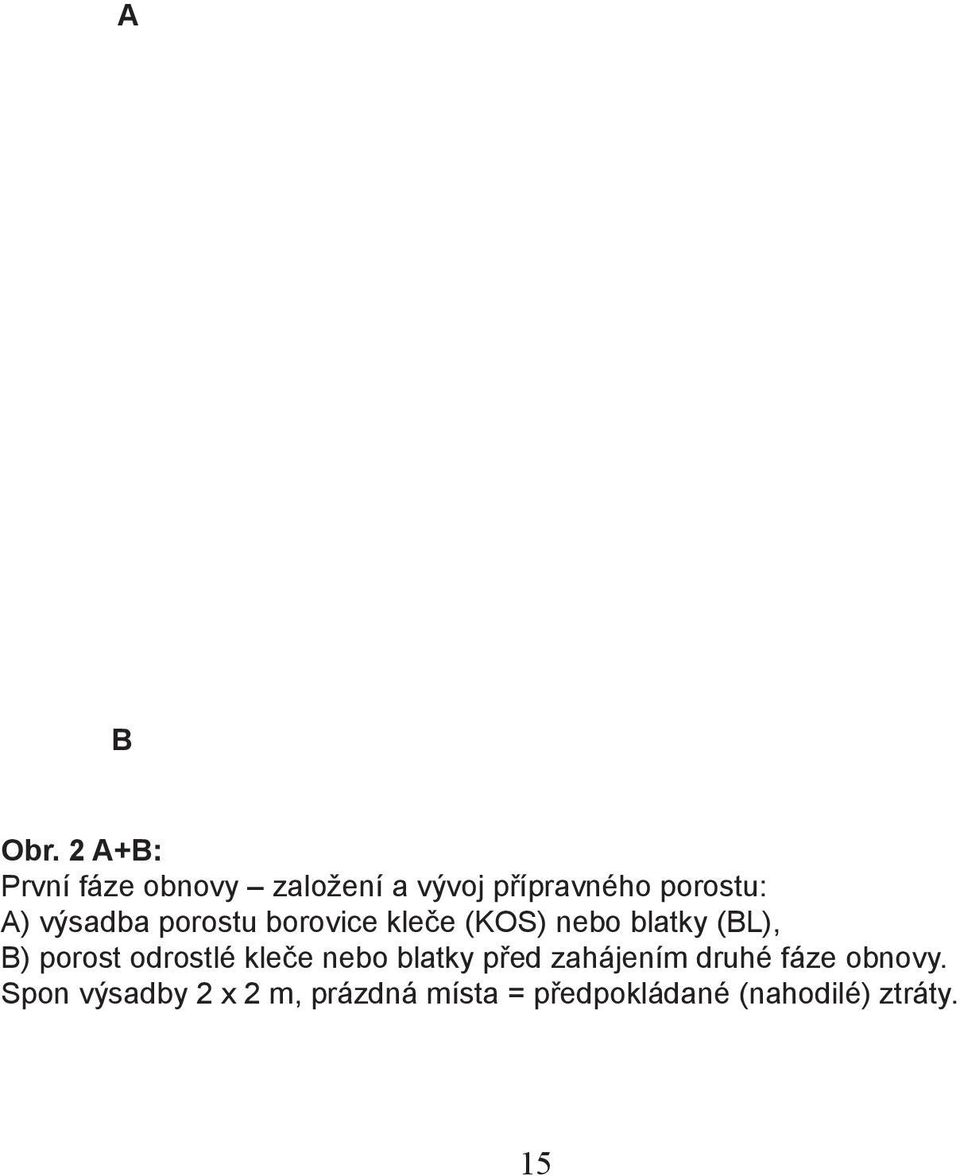 výsadba porostu borovice kleče (KOS) nebo blatky (BL), B) porost