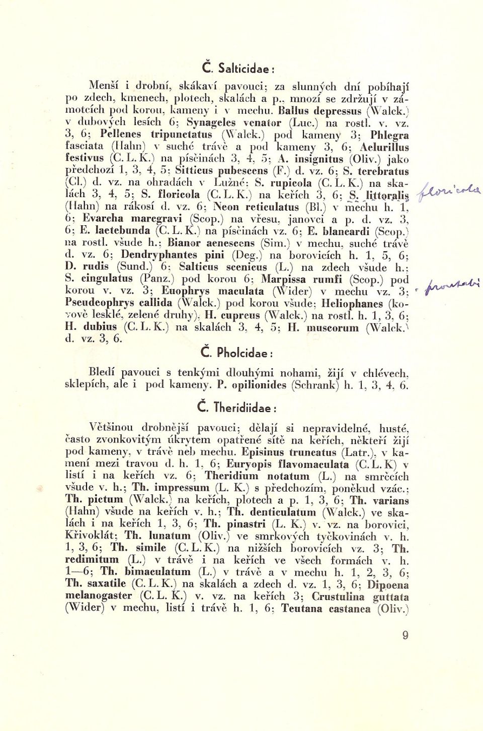 ) pod kameny 3; Phlcgra fasciata (IIahn) v suché trá Vtl a pod kameny 3, 6; Aelm'illus festivus (C. 1."K.) na píscinách 3, 4, 5; A. insignitus (Oliv.